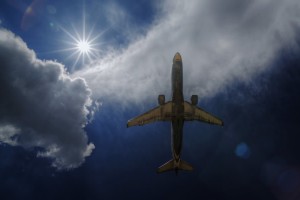 世界游泳锦标赛赛后复盘大会总结经验，世界游泳锦标赛主办机构