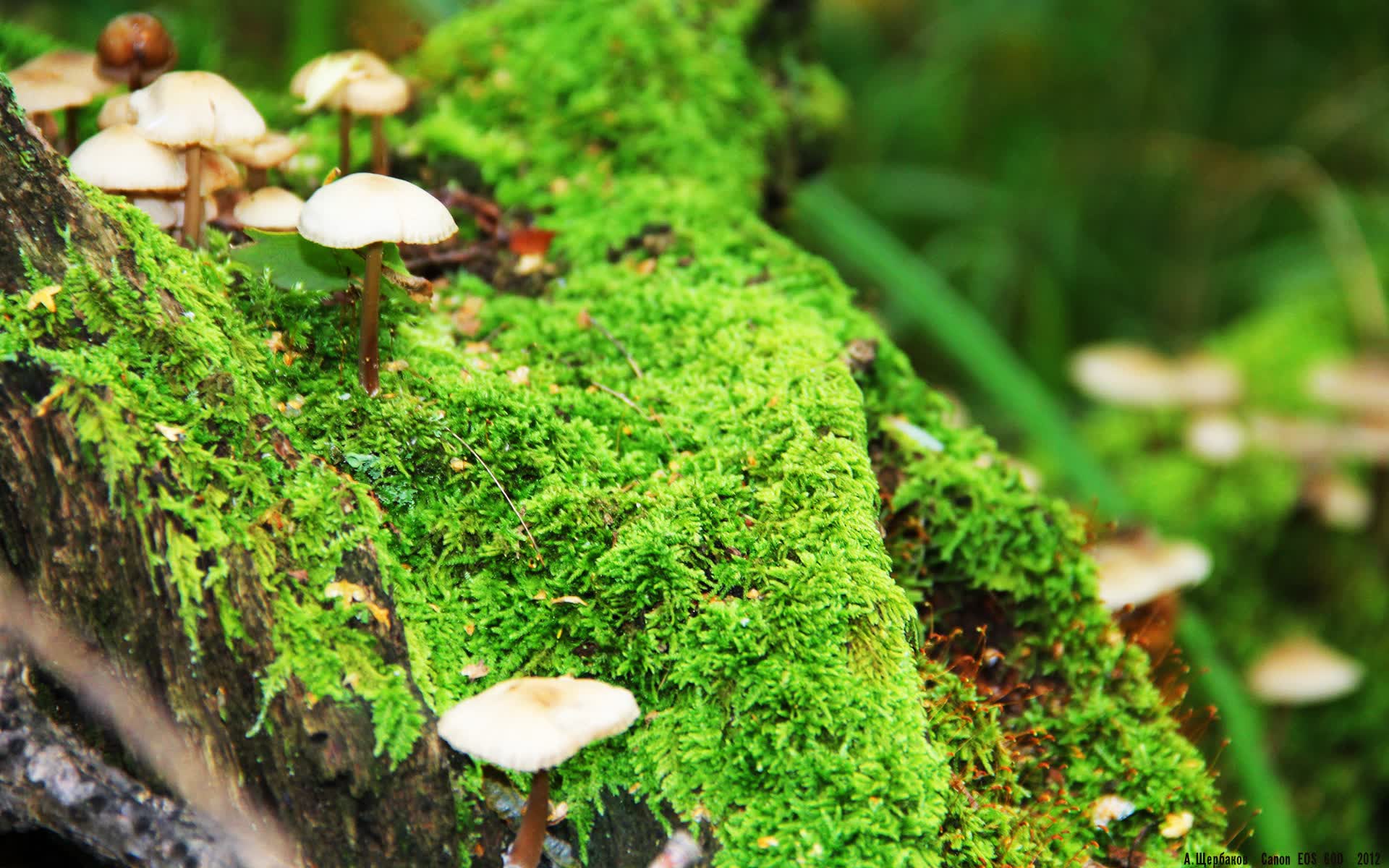 世界体能训练新课题发布：心肺适能周期化训练被验证有效，心肺体能训练动作大全